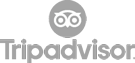 Tripadvisor logo in gray, featuring a stylized owl face above the word Tripadvisor in bold, lowercase letters—similar in simplicity to branding seen with Brainshark and Allego.